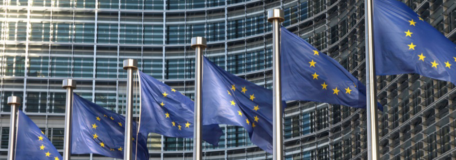EU-Parlament mit Flaggen
